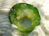 Candied Jalapeno Recipes